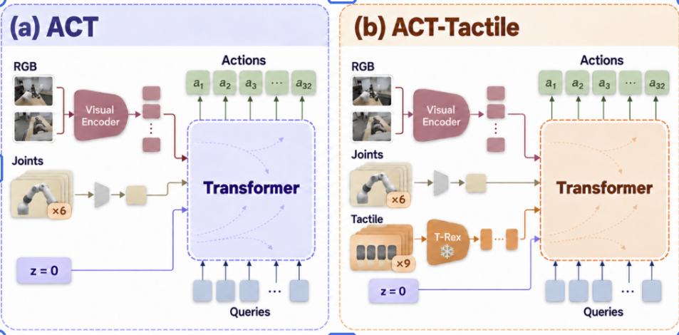 ACT and ACT-Tactile: RGB and six joint frames predict 32 actions; the tactile variant adds nine frames through a frozen T-Rex encoder